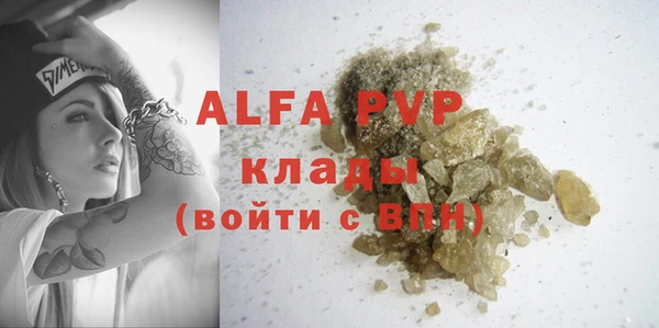 прущие грибы Кулебаки