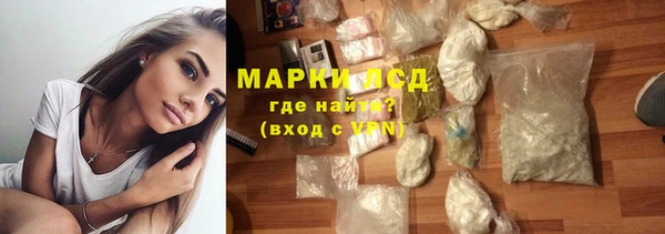 прущие грибы Кулебаки