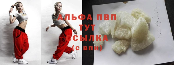 прущие грибы Кулебаки