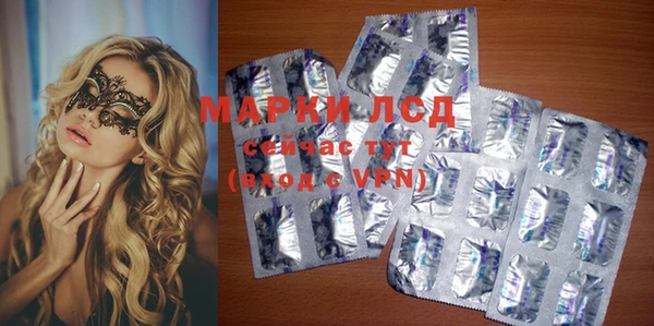 прущие грибы Кулебаки