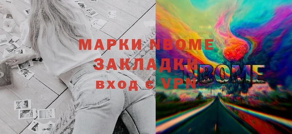 прущие грибы Кулебаки