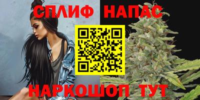 сатива Азнакаево