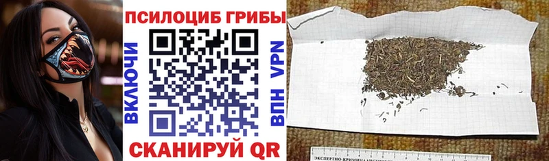 ссылка на мегу рабочий сайт  Альметьевск  Псилоцибиновые грибы GOLDEN TEACHER 