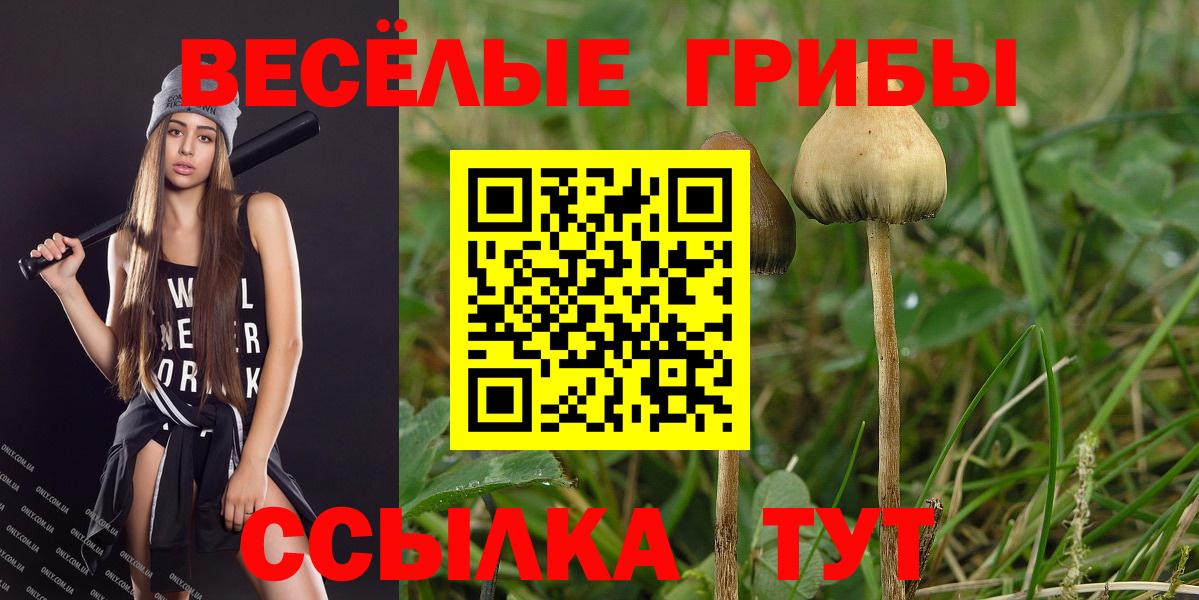 Псилоцибиновые грибы Psilocybine cubensis Альметьевск