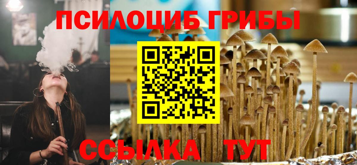 Псилоцибиновые грибы прущие грибы  купить закладку  Альметьевск 