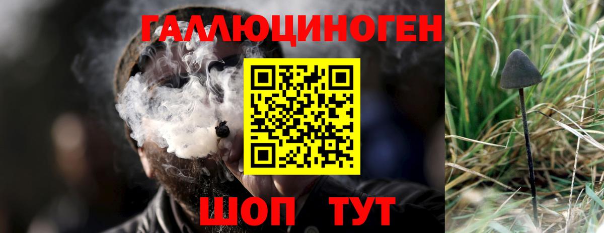 Альметьевск  Галлюциногенные грибы Psilocybine cubensis  Вход с VPN 